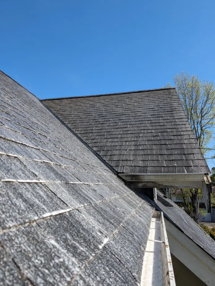 The Ideal Time to Remove Moss from Roof