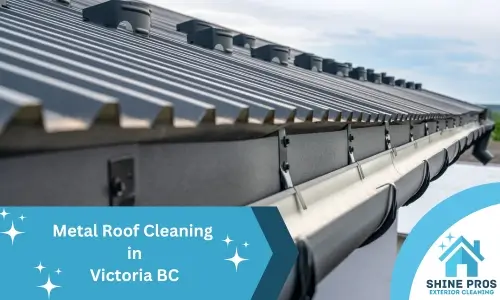 metal roof cleaning in victoria bc