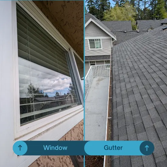 window and gutter cleaning sidney bc
