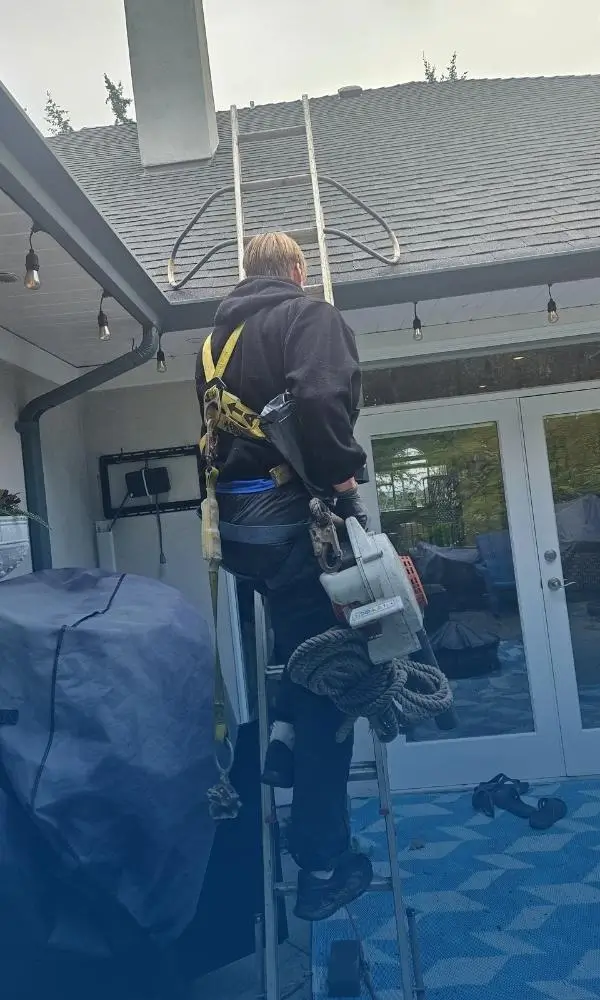 Alex Matson Climbing Roof Using Ladder.webp