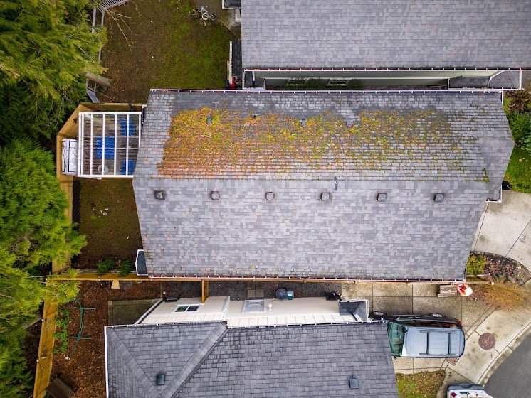 Untitled design 2024 03 24T223411.004.jpg Roof before cleaning, covered in moss and staining