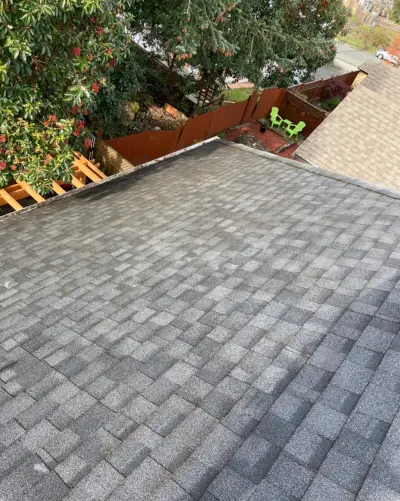 Roof after cleaning, restored streak-free finish