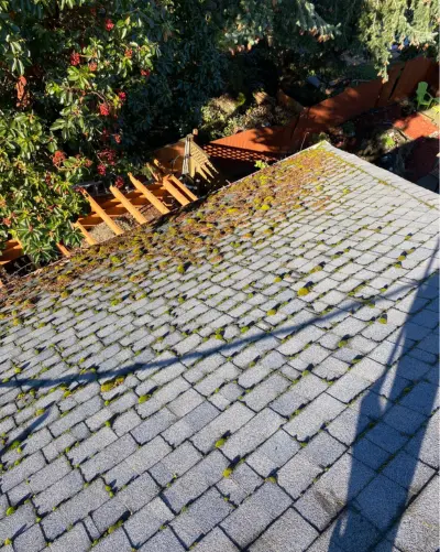 before.webp Roof before cleaning, with moss and streaks