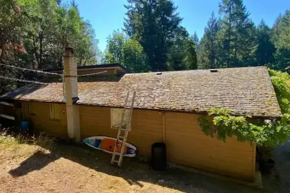 roof clean before.webp Roof before cleaning, showing moss and dark streaks