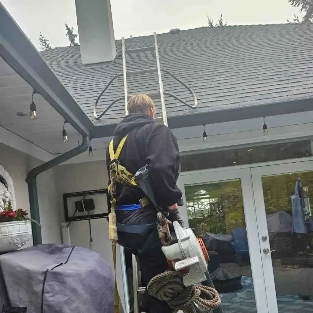 Shine Pros technician cleaning a residential roof
