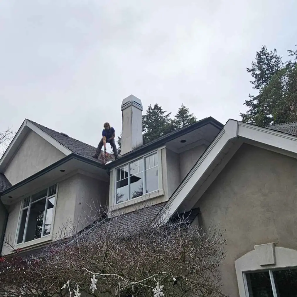 Professional removing moss during a roof cleaning