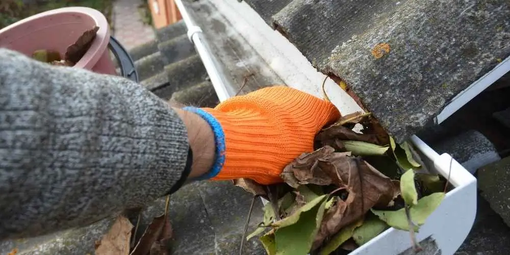 Gutter Cleaning Basics.webp
