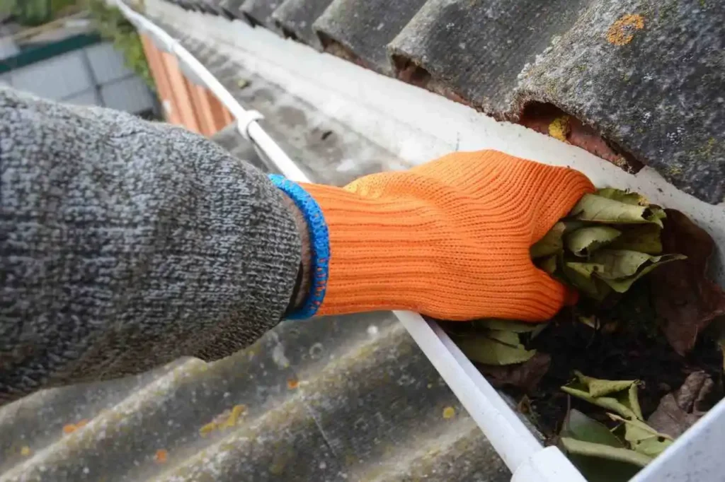 cleaning out the gutters.webp
