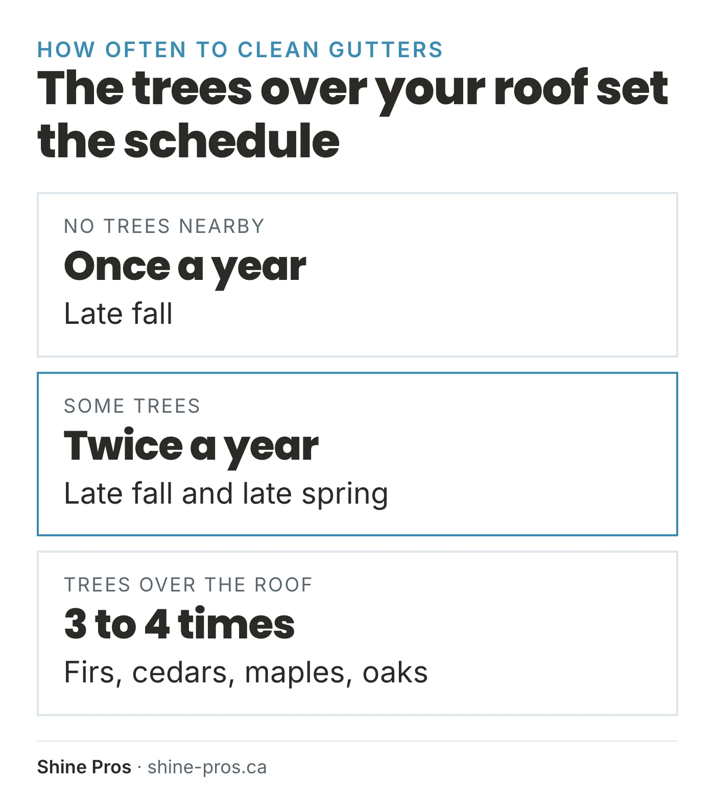 How often to clean gutters by tree cover: once, twice, or three to four times a year
