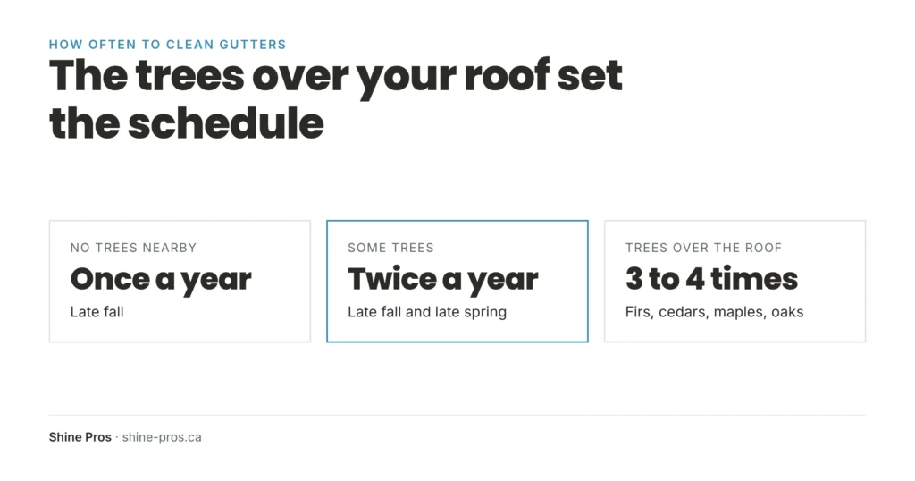 The trees over your roof set how often to clean your gutters