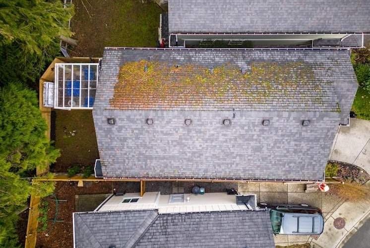A roof covered in moss, dirt, and stains showing its condition before undergoing professional roof cleaning services.