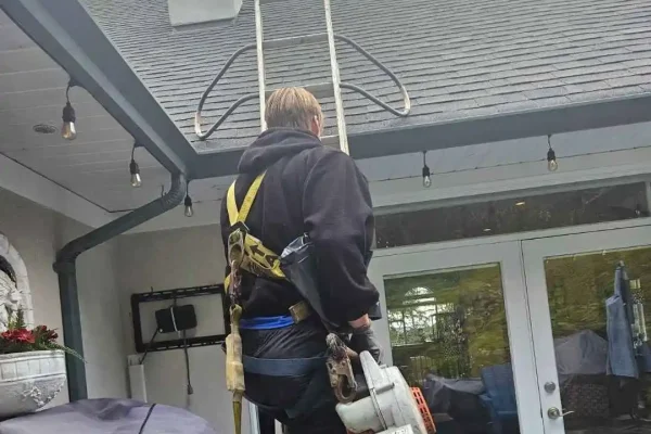 Professional roof moss removal specialist cleaning a moss-covered roof with specialized tools.